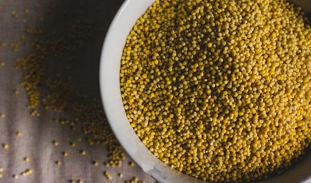 Understanding Millet and Its Health Benefits