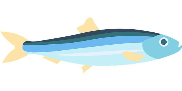 Top Sardine Brands That Excel in Quality and Taste