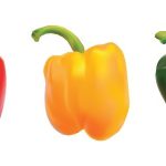 How to Ferment Ghost Peppers: Spice Up Your Life