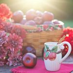 Does Apple Cider Vinegar Repel Ants? Effective Solutions