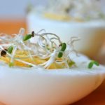 How to Ferment Alfalfa for Animal Feed