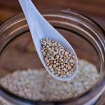 What is Growing on My Quinoa-Rejuvelac? Identifying Common Issues
