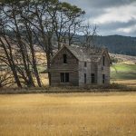 Problems Homesteaders Faced: Lessons from the Past