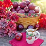 Does Apple Cider Vinegar Interfere with Levothyroxine? Medication Guide