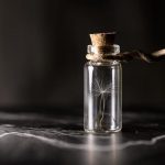 How to Make Muscadine Preserves: Delicious Recipe