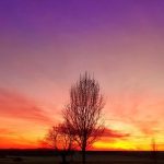 Kentucky Homesteading: Bluegrass State Opportunities