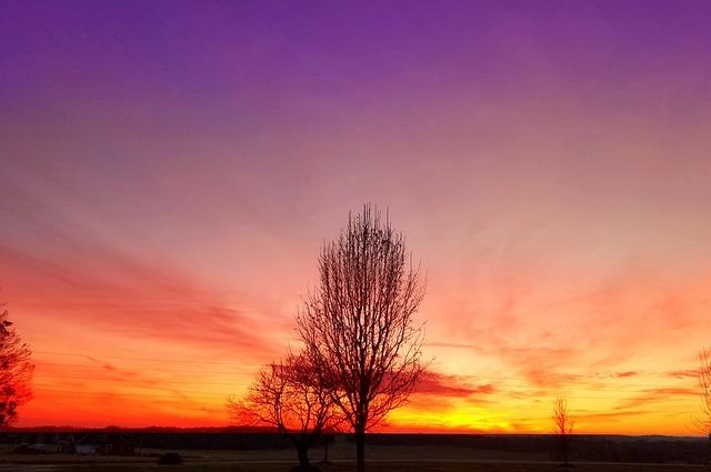 Kentucky Homesteading: Bluegrass State Opportunities
