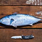 Do Sardines Contain Omega 3? Health Benefits