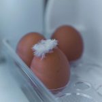 Can You Keep Dry Ice in Freezer? Safety Tips