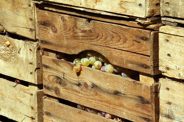 Creating the Ideal Fermentation Environment