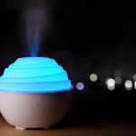Is Diffusing Essential Oils Safe for Dogs? What to Know