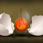 Can I Drink Ginger Tea After Embryo Transfer? Fertility Tips