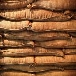 How to Store Freeze Dried Food? Best Practices
