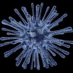 What Herbs Are Good for Autoimmune Diseases? Natural Remedies
