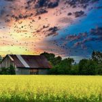 Hearthfire Homesteads: Virtual Homesteading in Skyrim