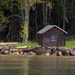 Off-Grid Homesteading Florida: Sunshine State Self-Sufficiency