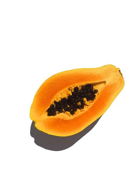 Sustainable Living Made Simple | The Natural Living Site.com 6 How to Ferment Papaya: Delicious and Probiotic-Rich