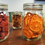 Is a Dehydrator the Same as a Freeze Dryer? Learn More