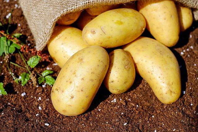 Sustainable Living Made Simple | The Natural Living Site.com 6 How to Ferment Potatoes for Vodka: Home Distilling Guide