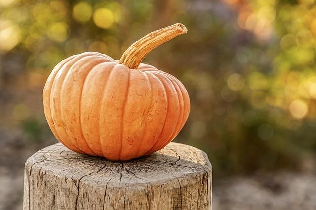 Sustainable Living Made Simple | The Natural Living Site.com 6 How to Ferment Pumpkin: Seasonal and Nutritious