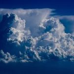 How Much Freezer Space for Half a Cow? Find Out