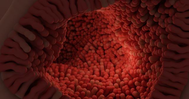 What Herbs Are Good for Dogs: Top Picks for Canine Health 5 Digestive Support: Herbs That Aid Your Dogs Tummy Troubles