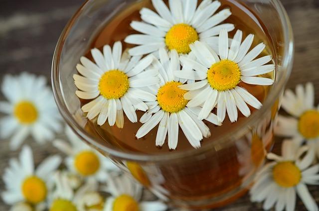 Chamomile: A ⁢Soothing Herb for Stress-Related Stomach ​Issues