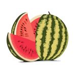 How Long Does Rejuvelac Last? Tips for Freshness and Storage