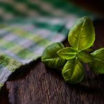 What Is the Best Herb for Pain Relief: Natural Painkillers