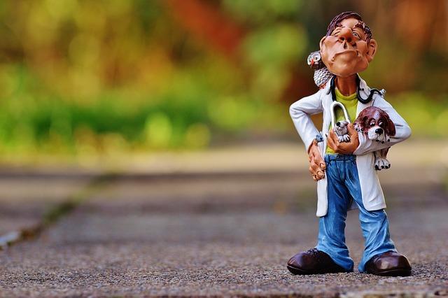 What Herbs Are Good for Dogs: Top Picks for Canine Health 6 Consulting with Your Vet: Important Considerations Before Adding Herbs