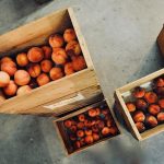 Can Rejuvelac Be Stored in Plastic Containers? Best Storage Practices