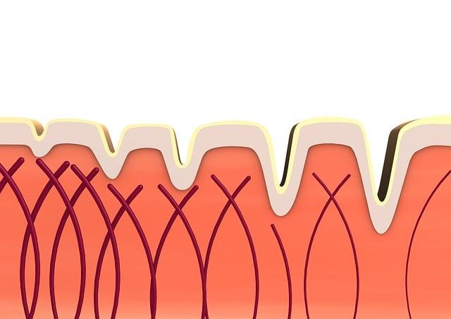 Understanding Collagen and Its Importance in Our Diet