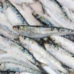 Are Sardines or Anchovies Healthier? A Comparison