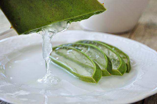 Using Aloe Vera for Hydration and Strength