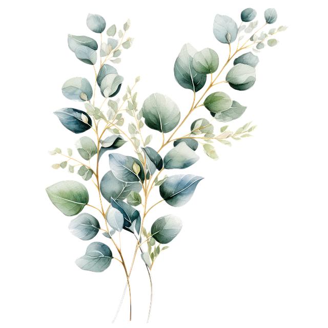 What Herbs Are Good for Clearing Lungs? Breathe Easier 6 Harnessing the Power of Eucalyptus for Lung Cleansing