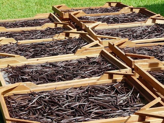 Best Practices for Thawing Frozen Vanilla Beans