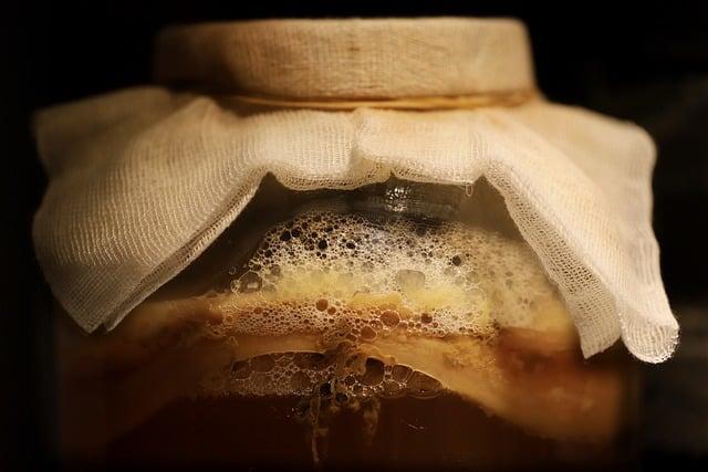 Troubleshooting Common Fermentation Issues