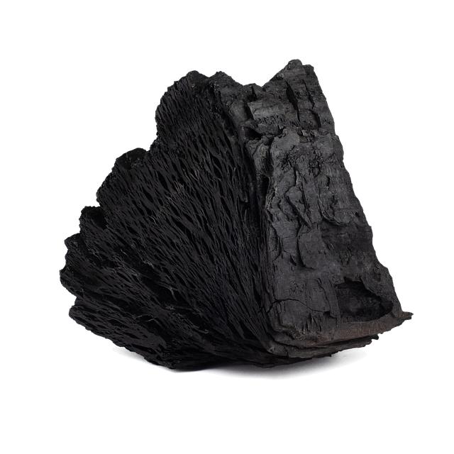 Step-by-Step Guide to Making Your Activated Charcoal Poultice