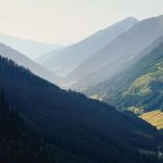 Where to Catch Sardine Stardew Valley? Gamer’s Guide!