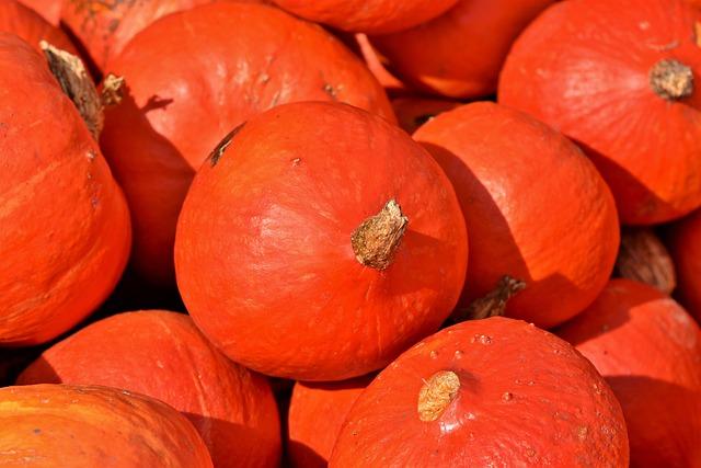 How to Preserve Squash Seeds for Next Season 1 Selecting the Right Squash Varieties for Seed Preservation