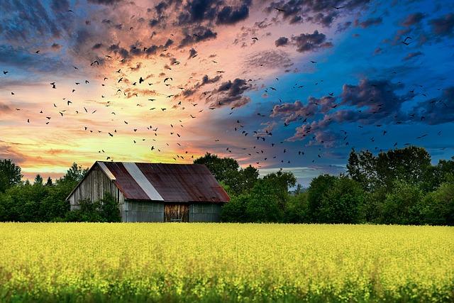 Finding Support: Resources for Legal Guidance in Homesteading