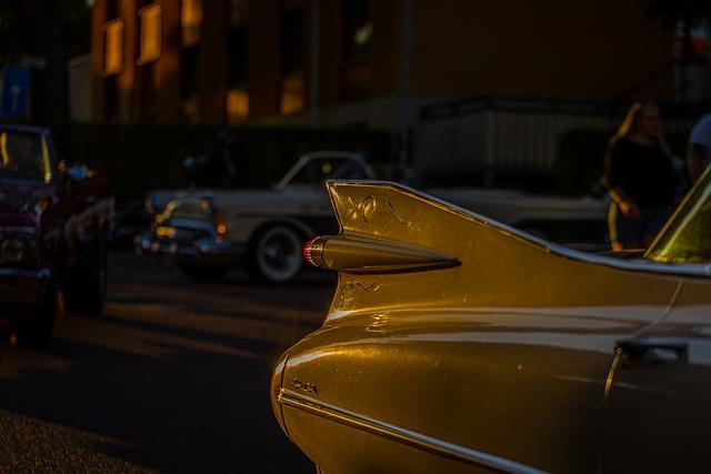 How to Preserve Bird Wings: A Natural Keepsake 6 Common Mistakes to Avoid in Wing Preservation