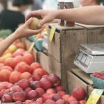Which Ice Cream Maker to Buy? Expert Buying Guide