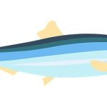 Does Mackerel Taste Like Sardines? Flavor Comparison