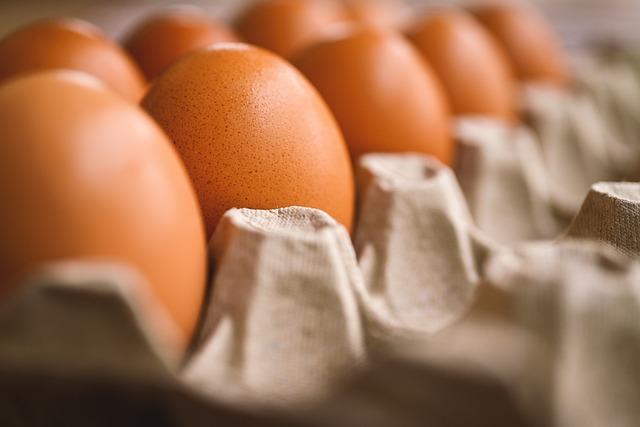 How to Preserve Eggs Without Refrigeration: Proven Methods 1 Understanding the Importance of Egg Preservation