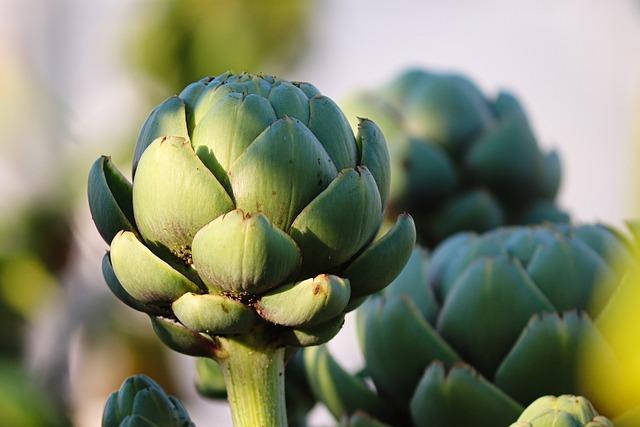 Can You Freeze Artichokes? Keep Them Fresh Year-Round! 5 Storing Frozen Artichokes for Maximum Freshness