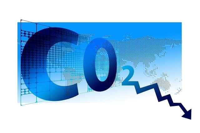 Practical Applications of CO2 in Home Gardening and Beverage Making