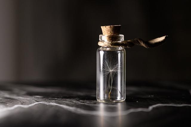 Essential Tools and Materials for Successful Preservation