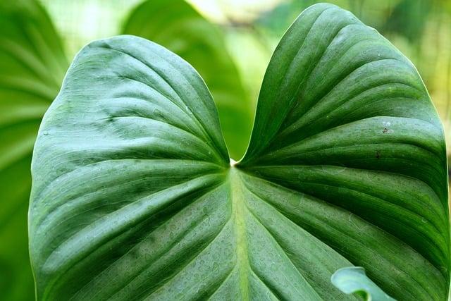 Tips for Achieving the Perfect Texture and Flavor