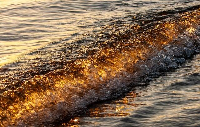 How to Use the Hamilton Beach Ice Cream Maker? Delicious Homemade Ice Cream! 1 Understanding Your Hamilton Beach Ice Cream Maker and Its Components